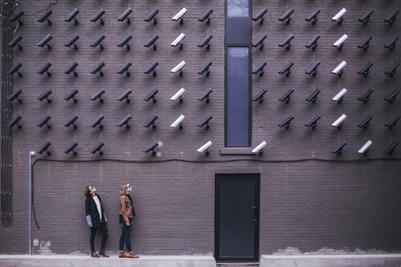 Instalación artística con cámaras de vigilancia en Toronto. Una pared entera cubierta de cámaras apuntando en la misma dirección. Dos chichas las miran desde abajo.